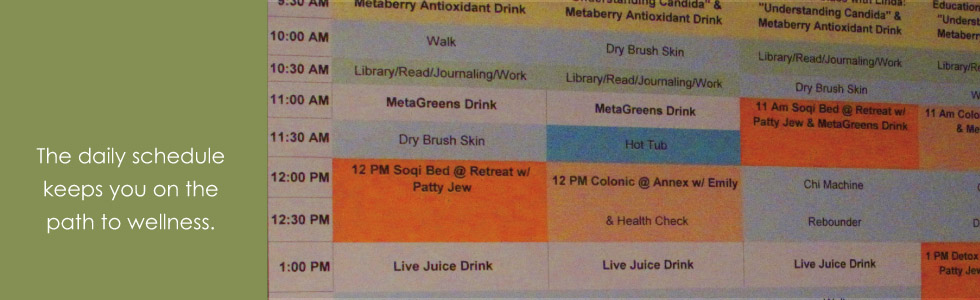 Your daily schedule keeps you on track