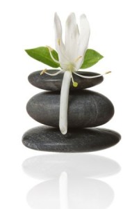 Holistic Healing Retreat